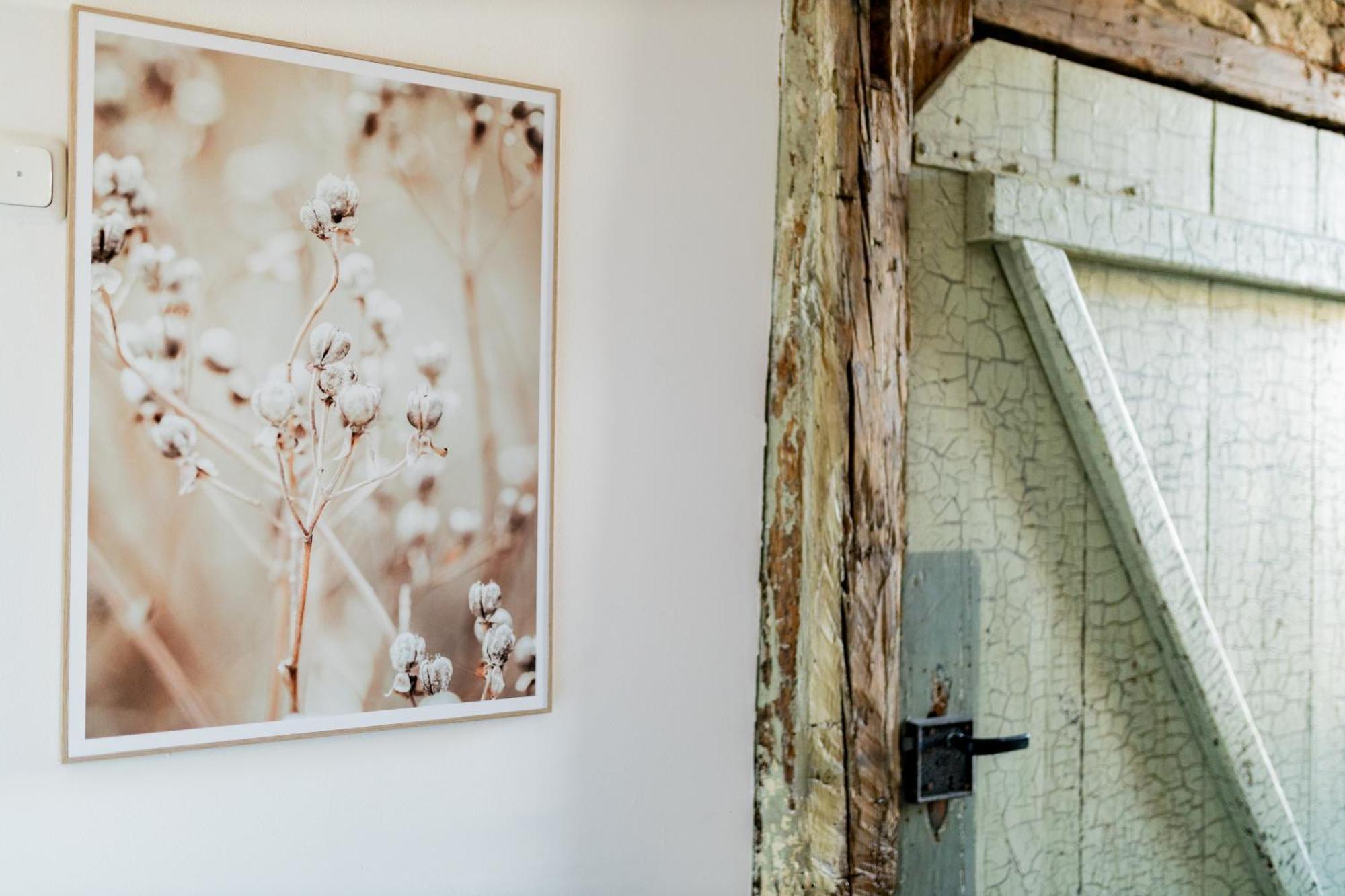Dwellstay - Zuse Hoefe Bad Hersfeld Esterno foto
